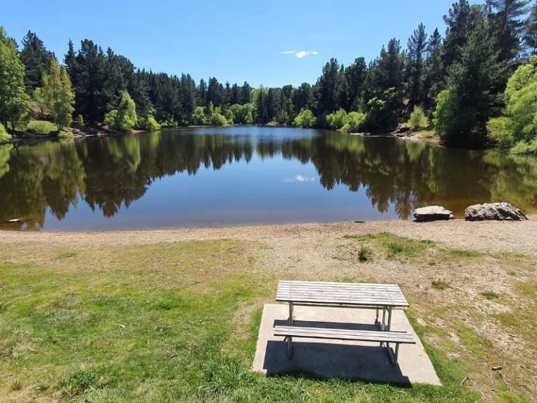 Pinders Pond picnic area near Ettrick, Roxburgh Central Otago